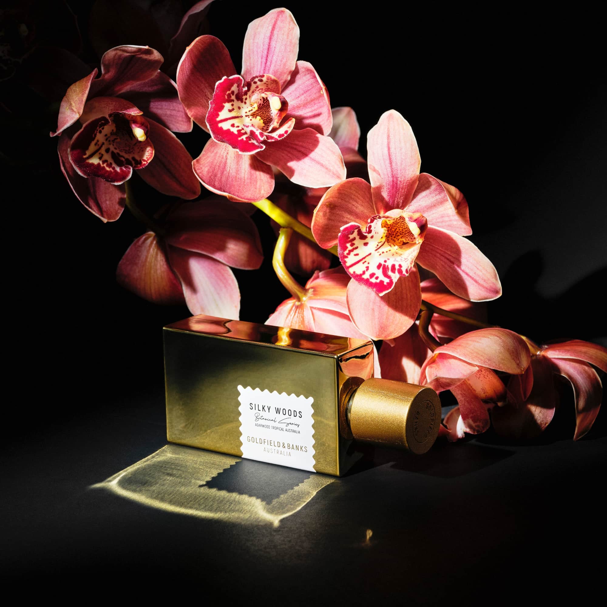 Silky Woods Perfume Concentrate