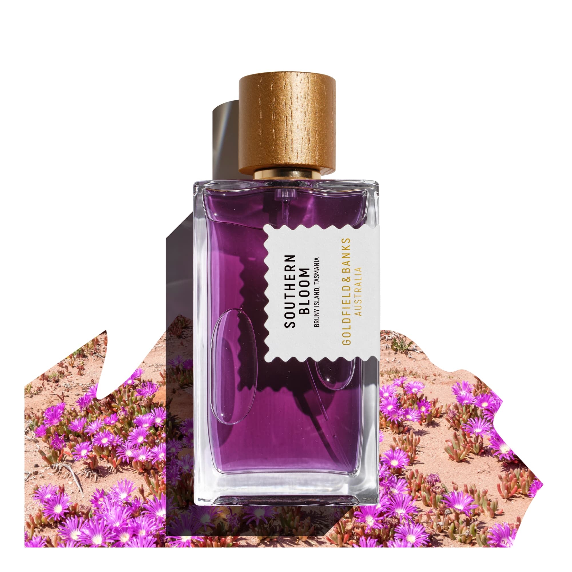 Southern Bloom Perfume Concentrate
