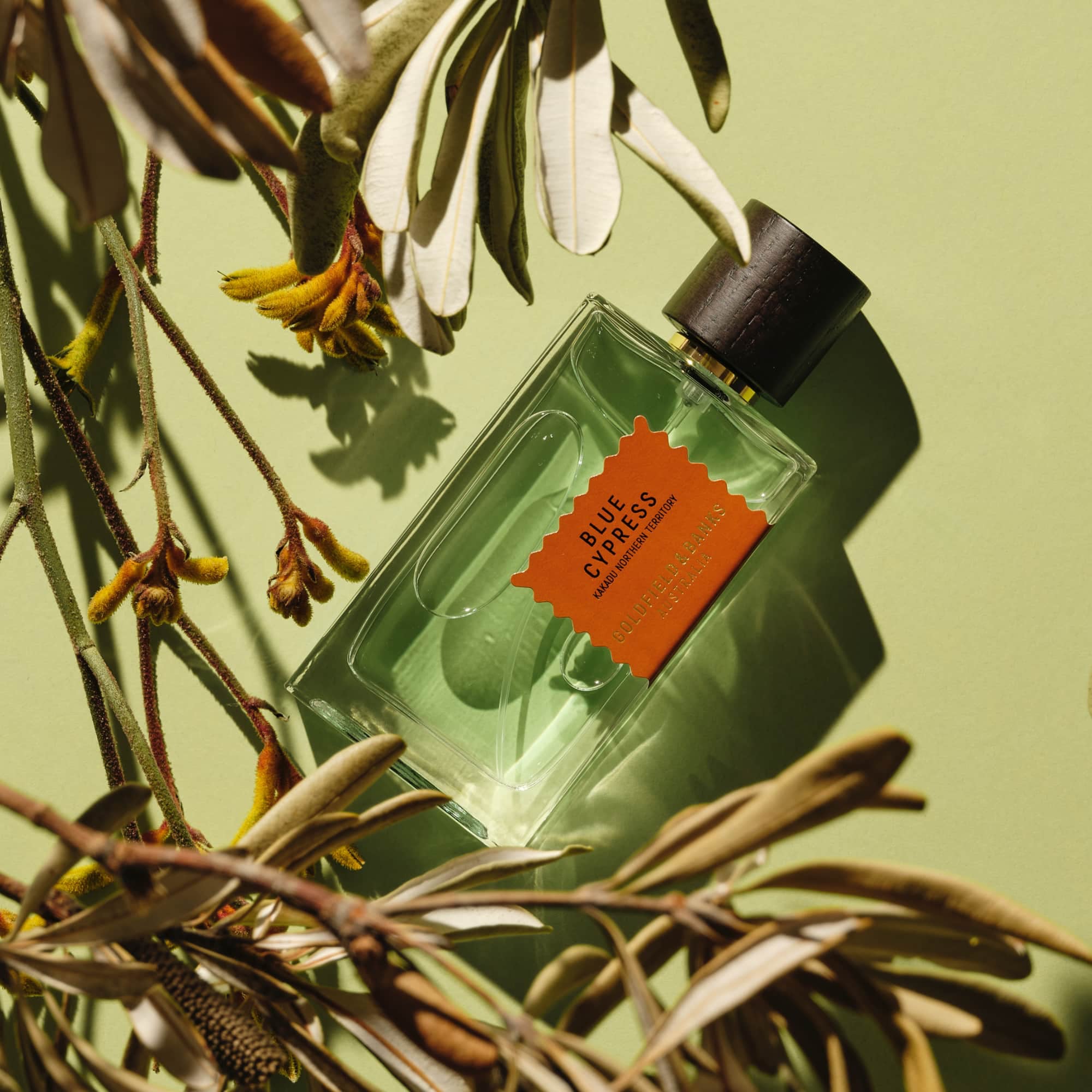 Blue Cypress Perfume Concentrate