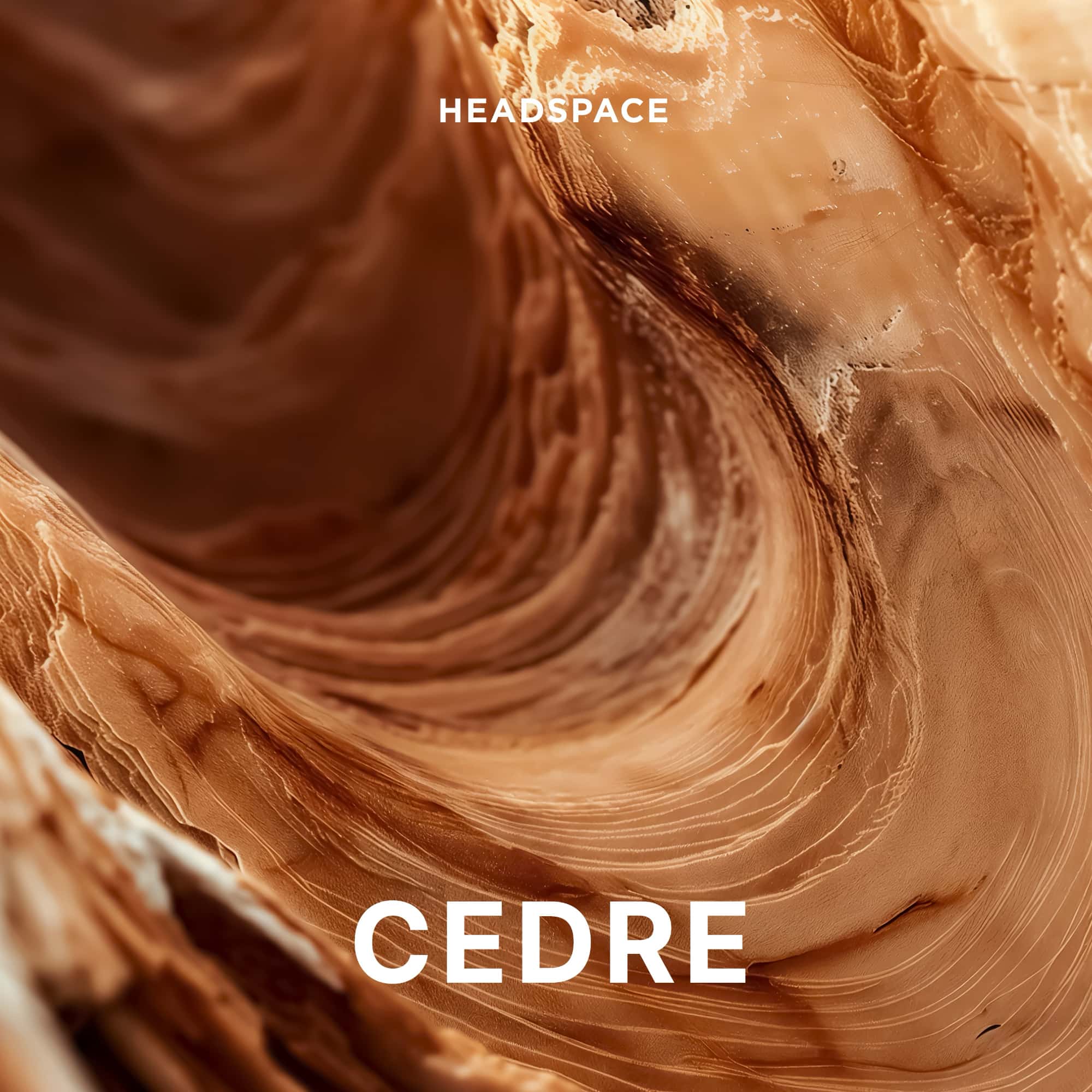 CEDRE