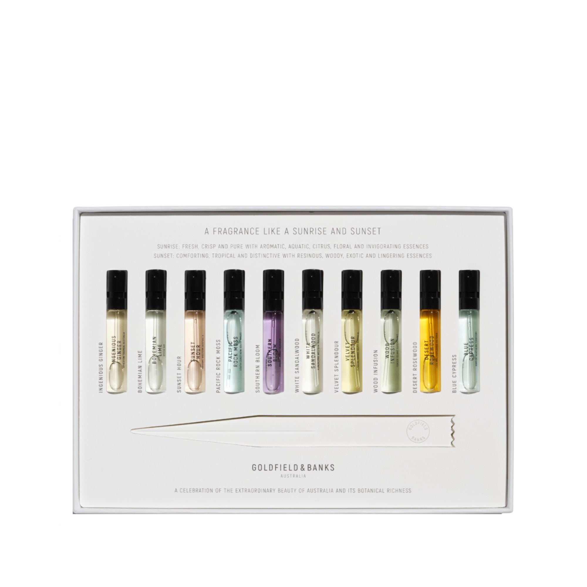 Discovery Sample Collection m. Ingenious Ginger