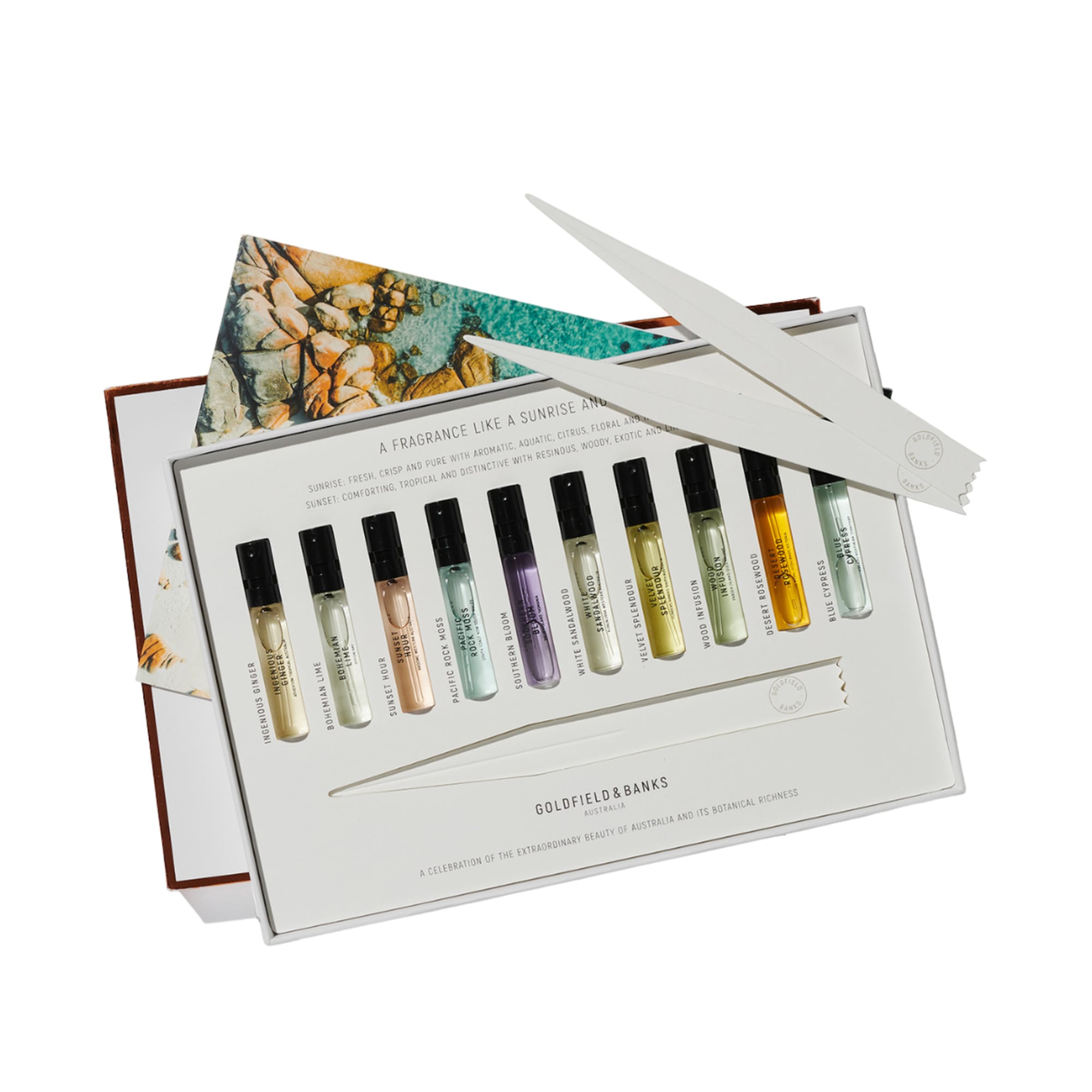 Discovery Sample Collection m. Ingenious Ginger