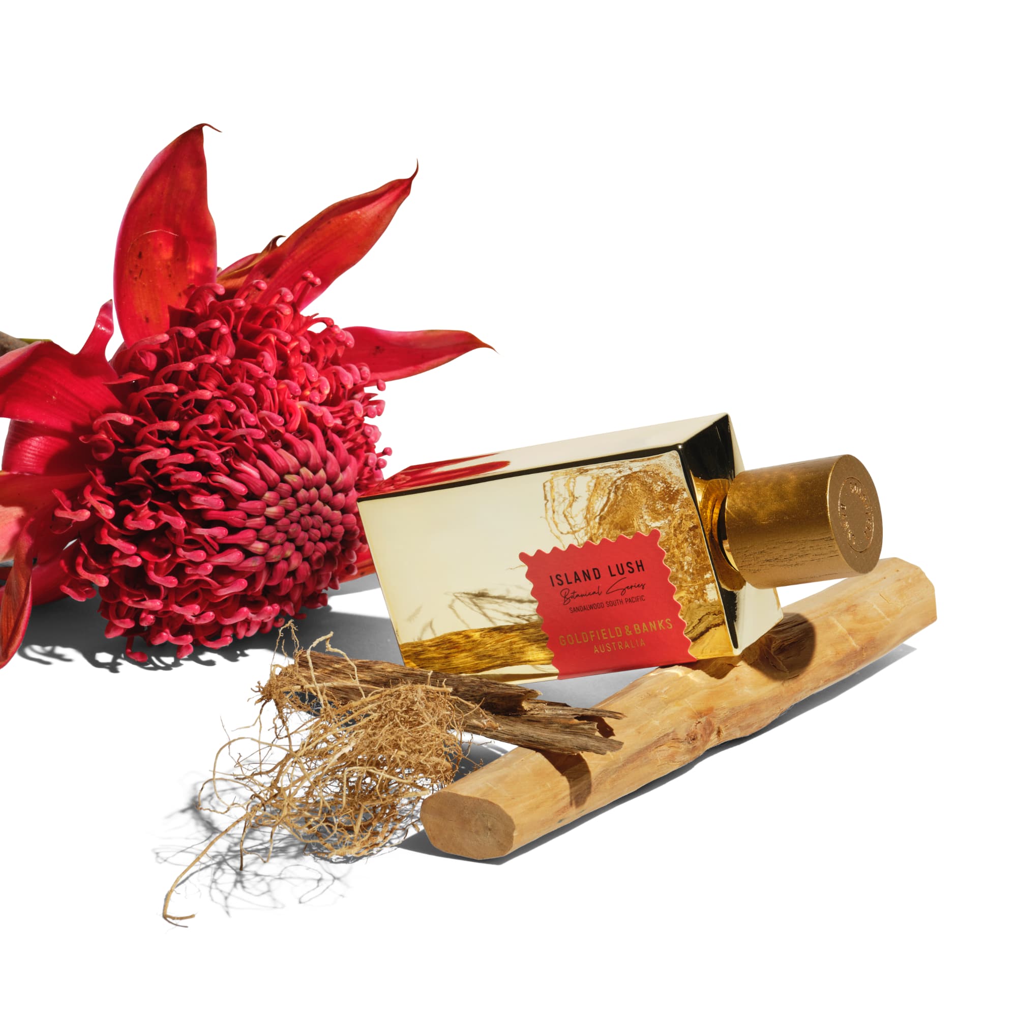 Island Lush Perfume Concentrate