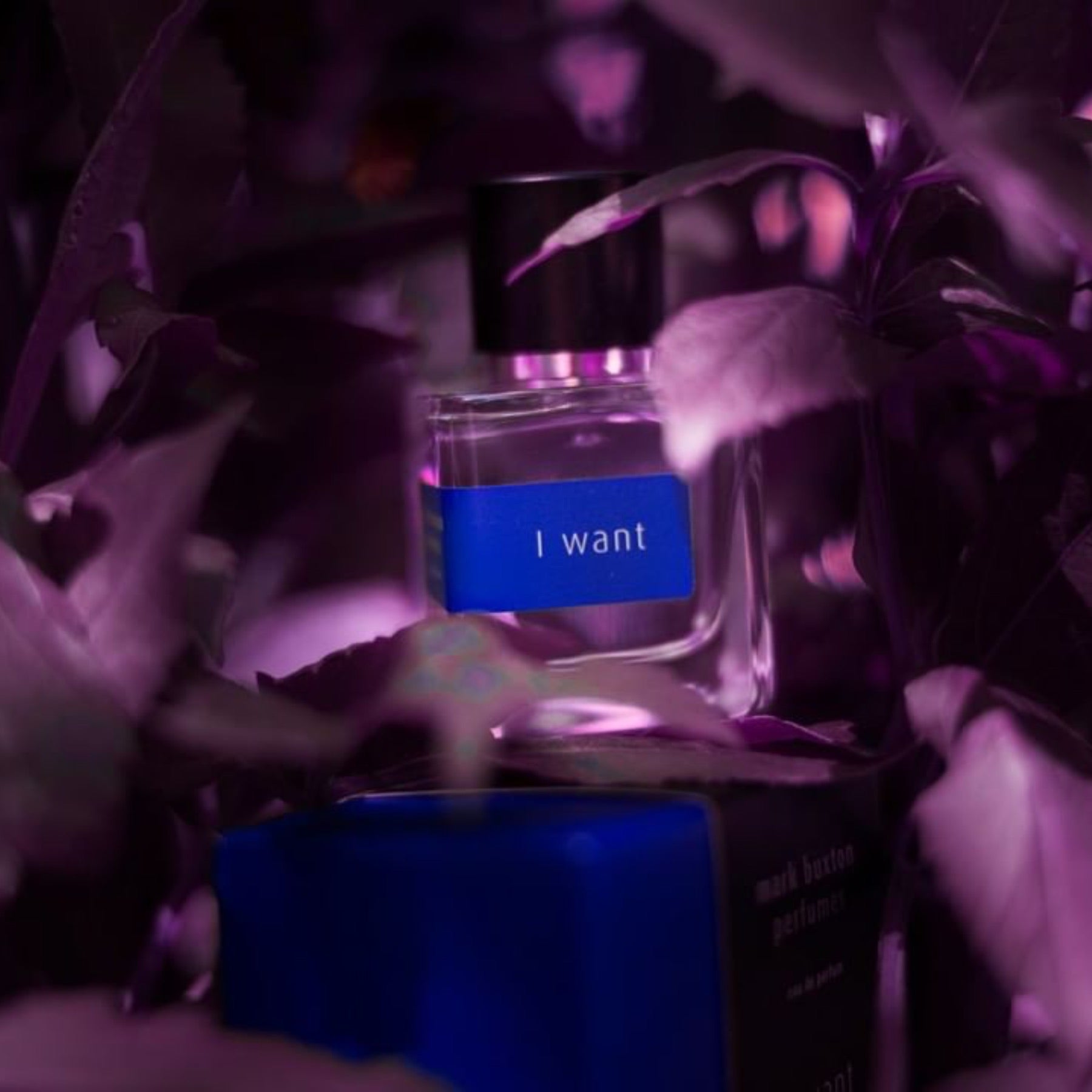 I Want Eau de Parfum
