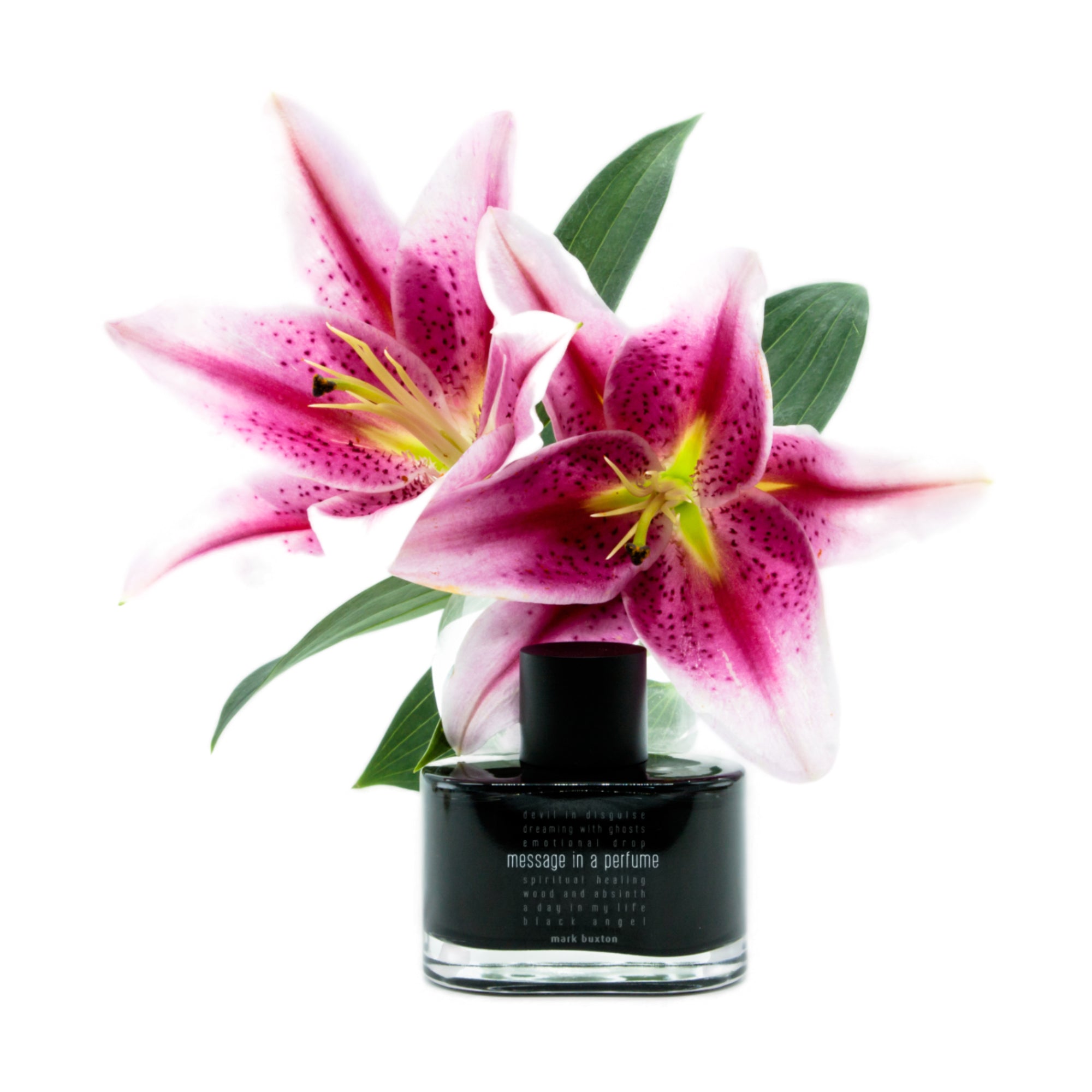 Message In a Perfume Eau de Parfum