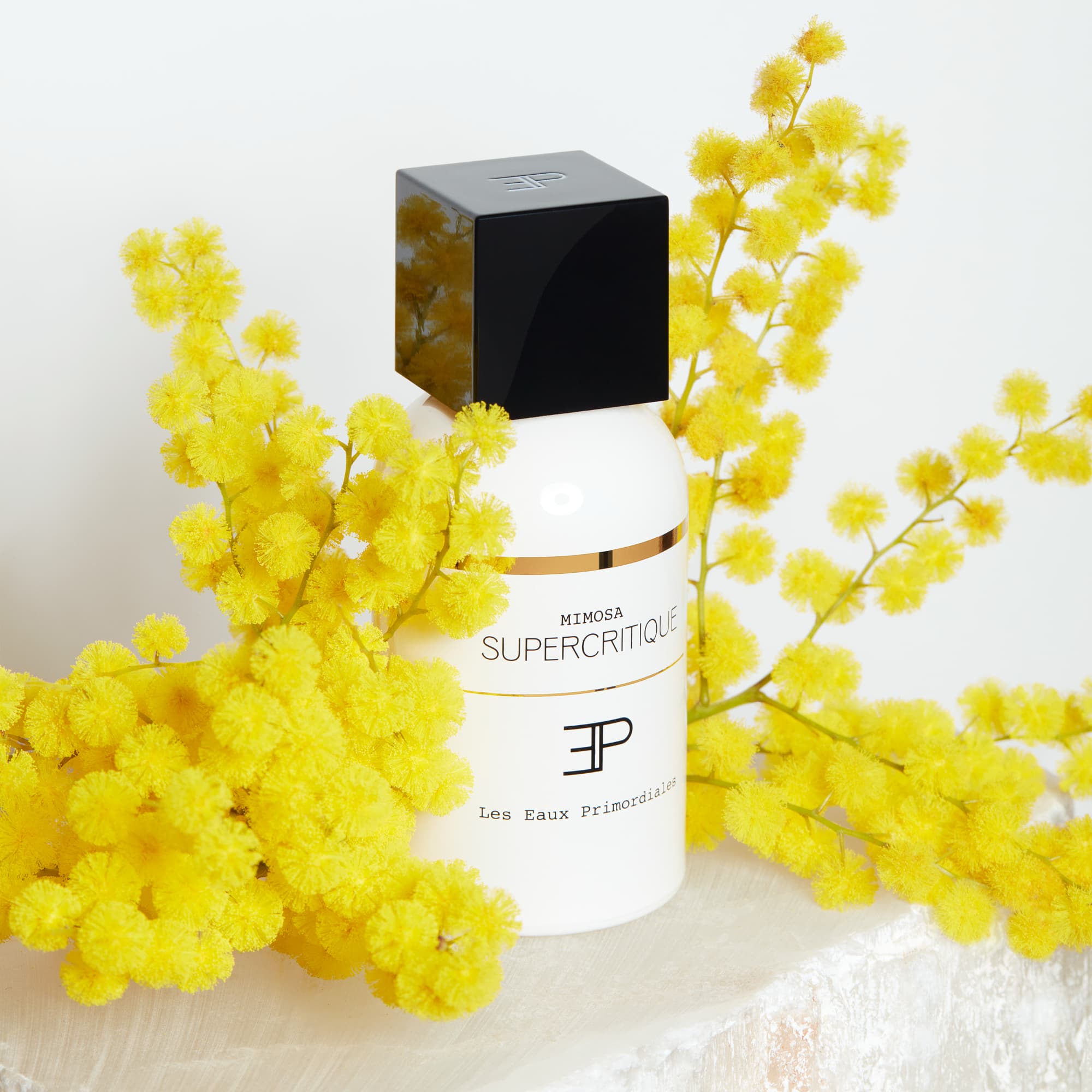 Mimosa Supercritique