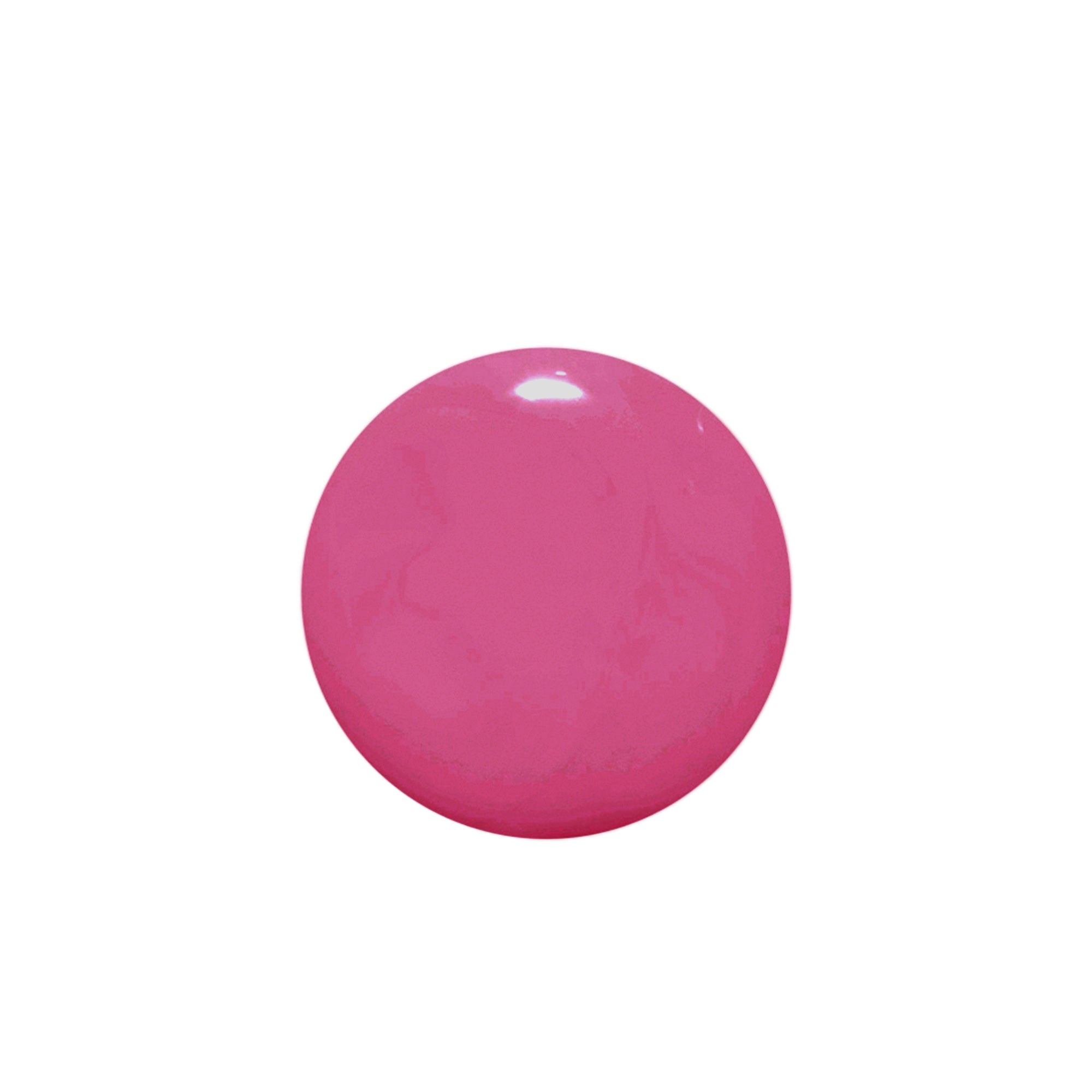 Pink Tulip