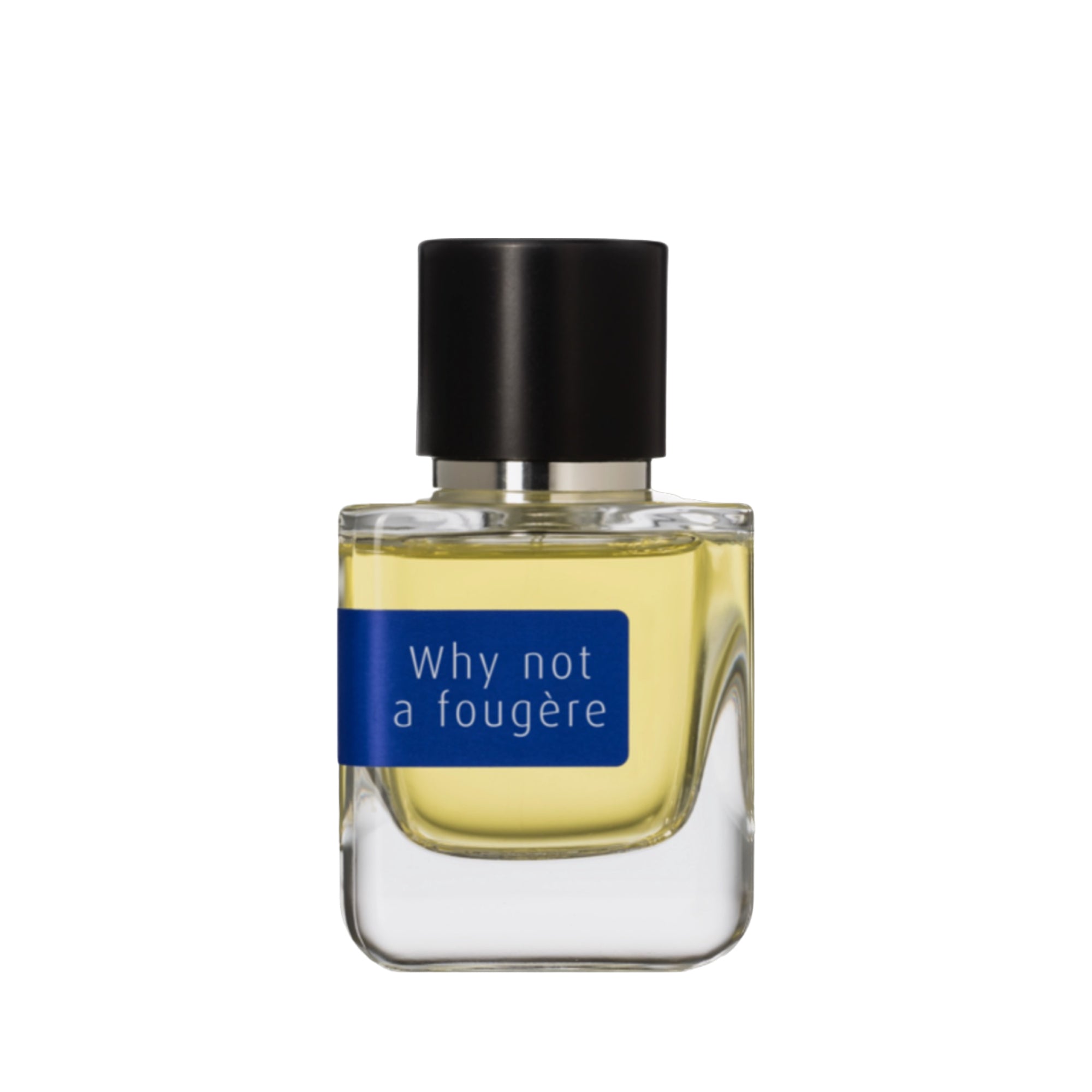 Why Not a Fougère Eau de Parfum