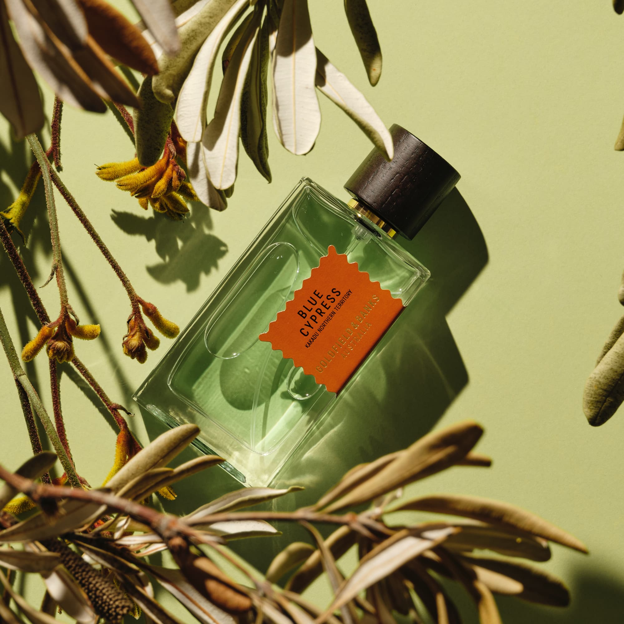 Wood Infusion Perfume Concentrate