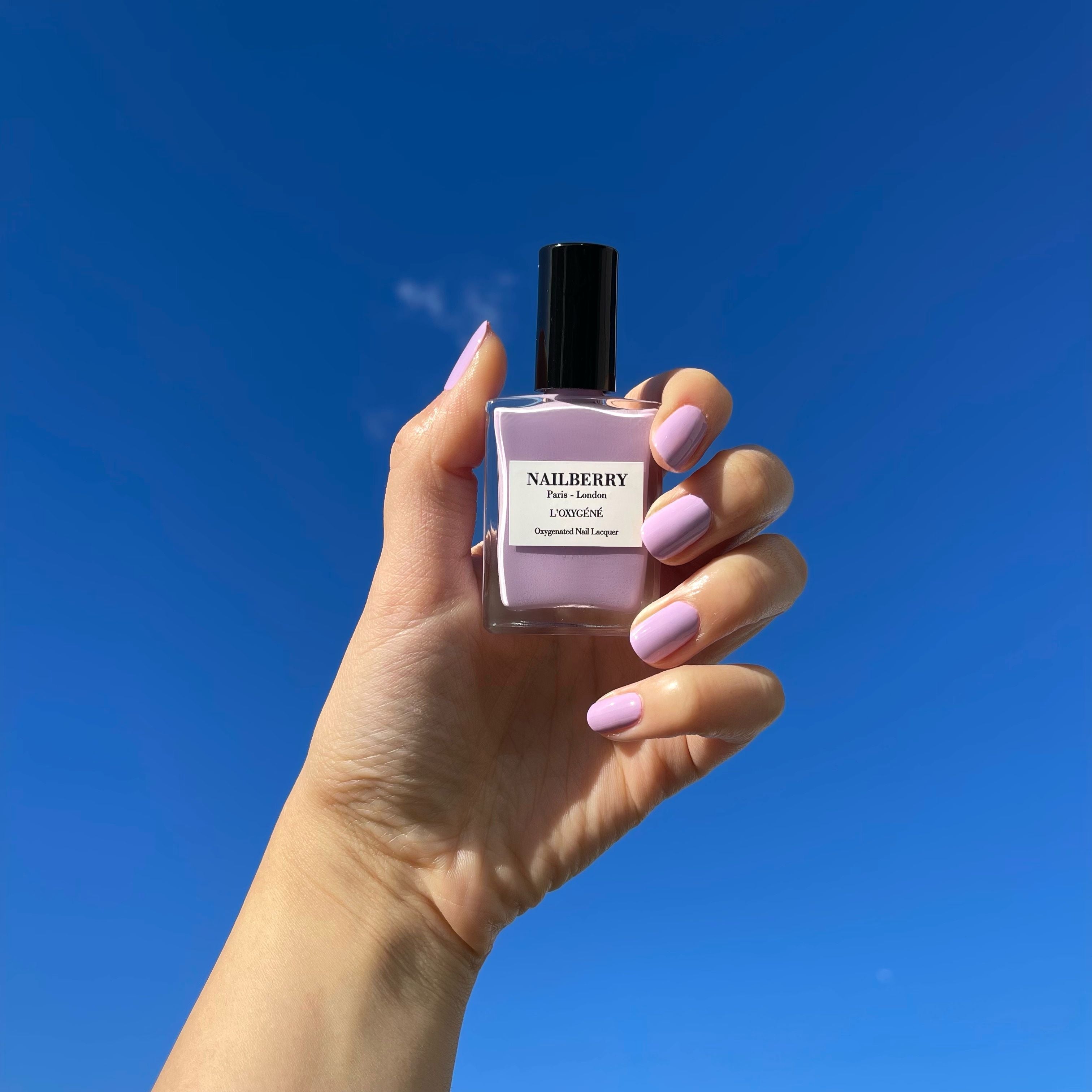 Lavender Fields