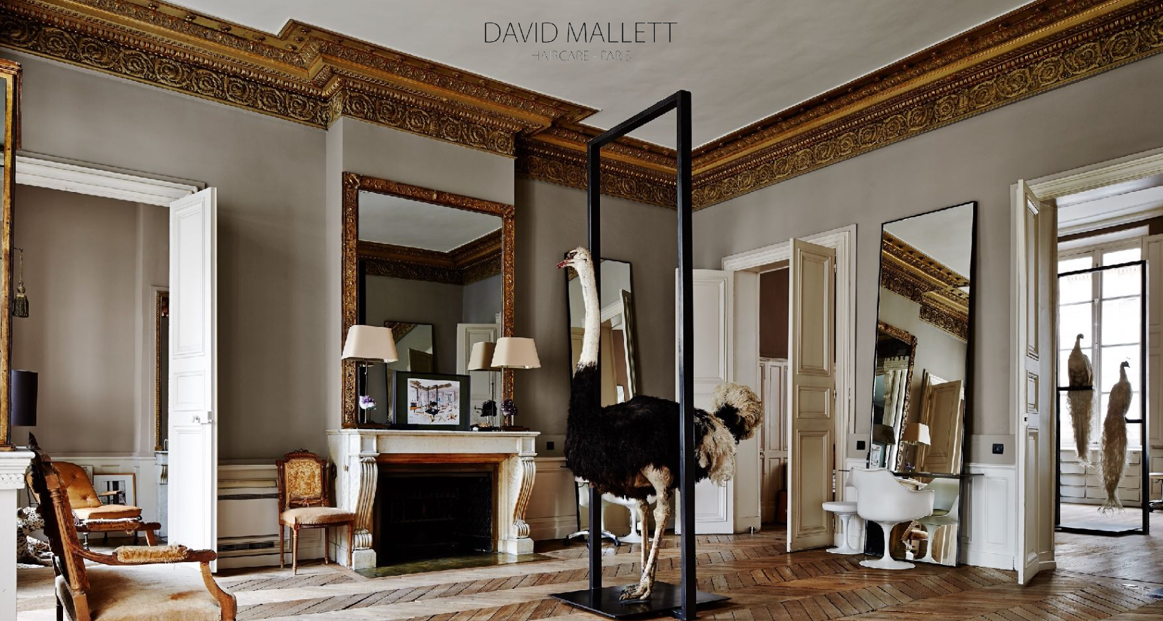 David Mallett