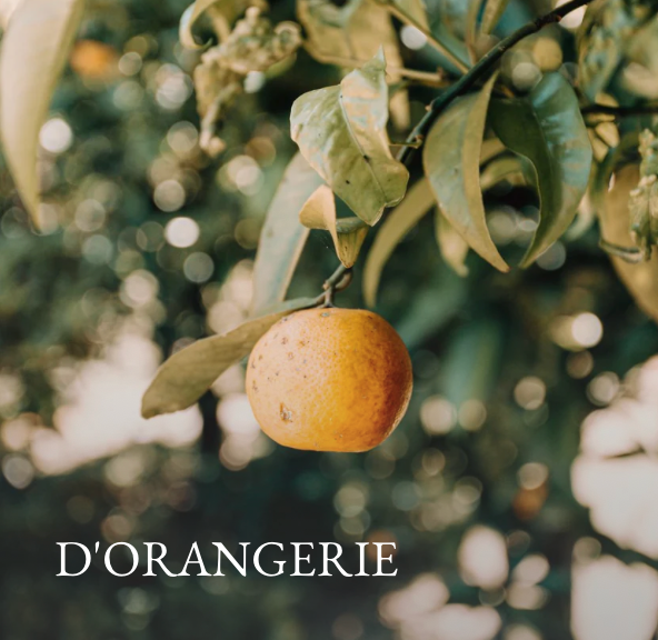 D’Orangerie