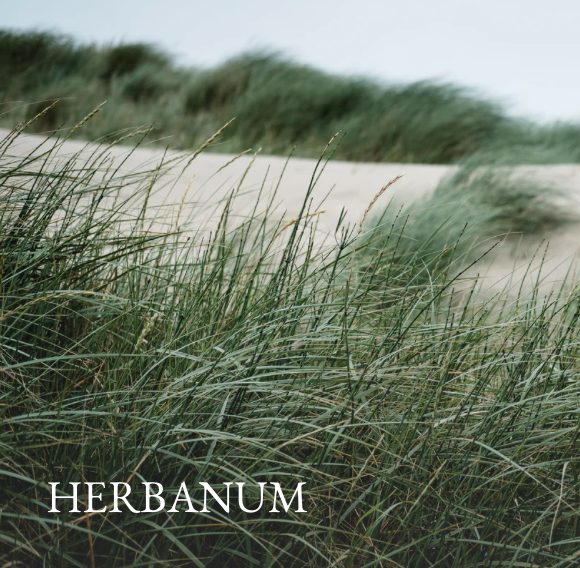 Herbanum