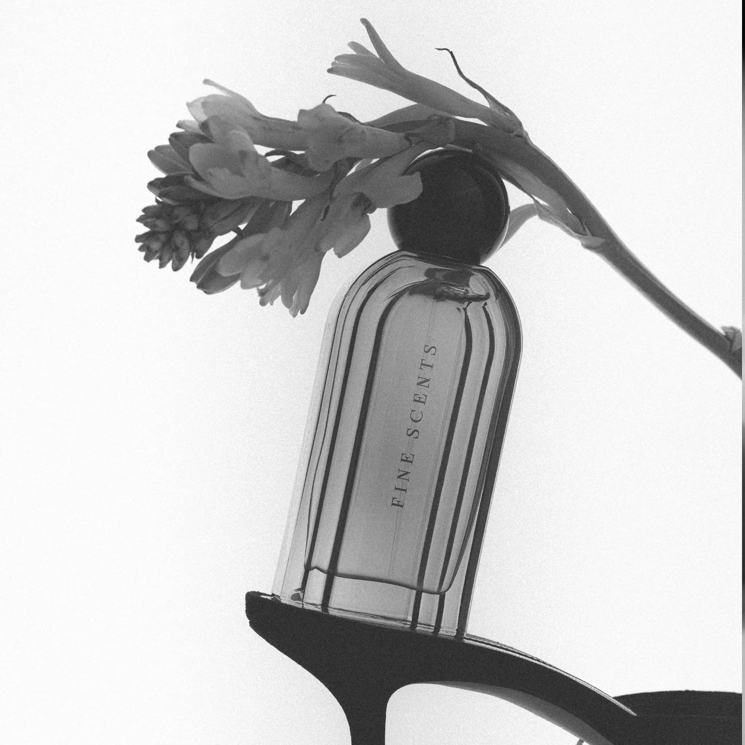 Fine Scents