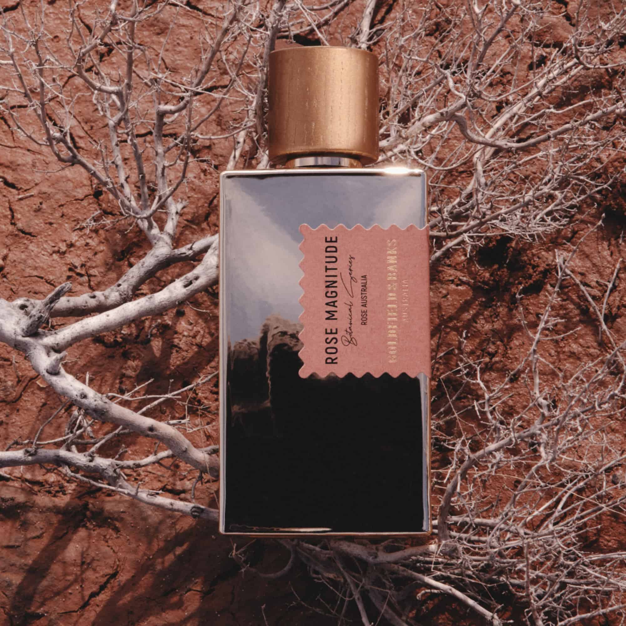 Rose Magnitude Perfume Concentrate