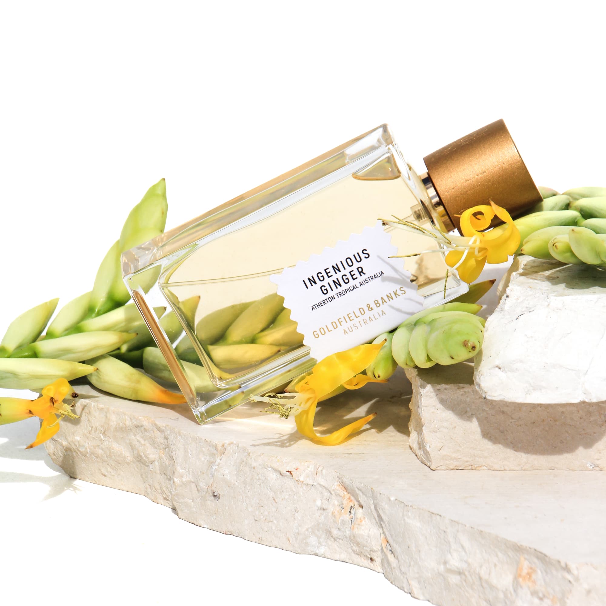 Ingenious Ginger Perfume Concentrate