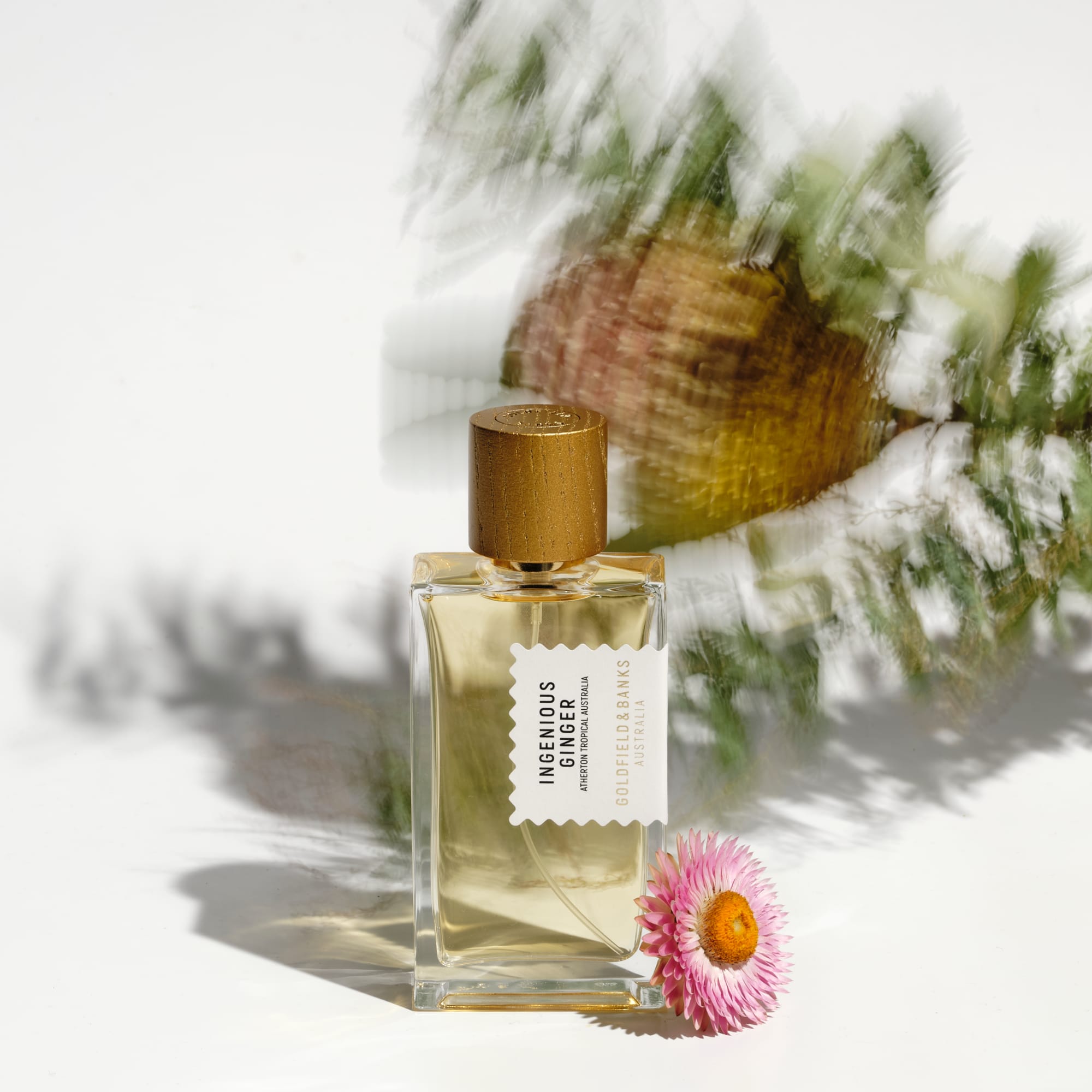 Ingenious Ginger Perfume Concentrate