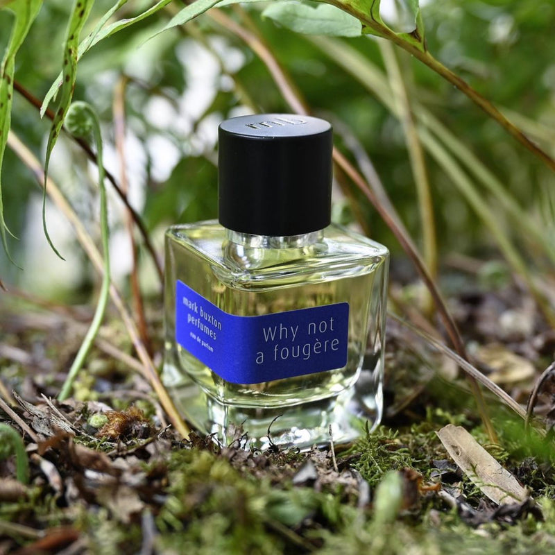 Why Not a Fougère Eau de Parfum