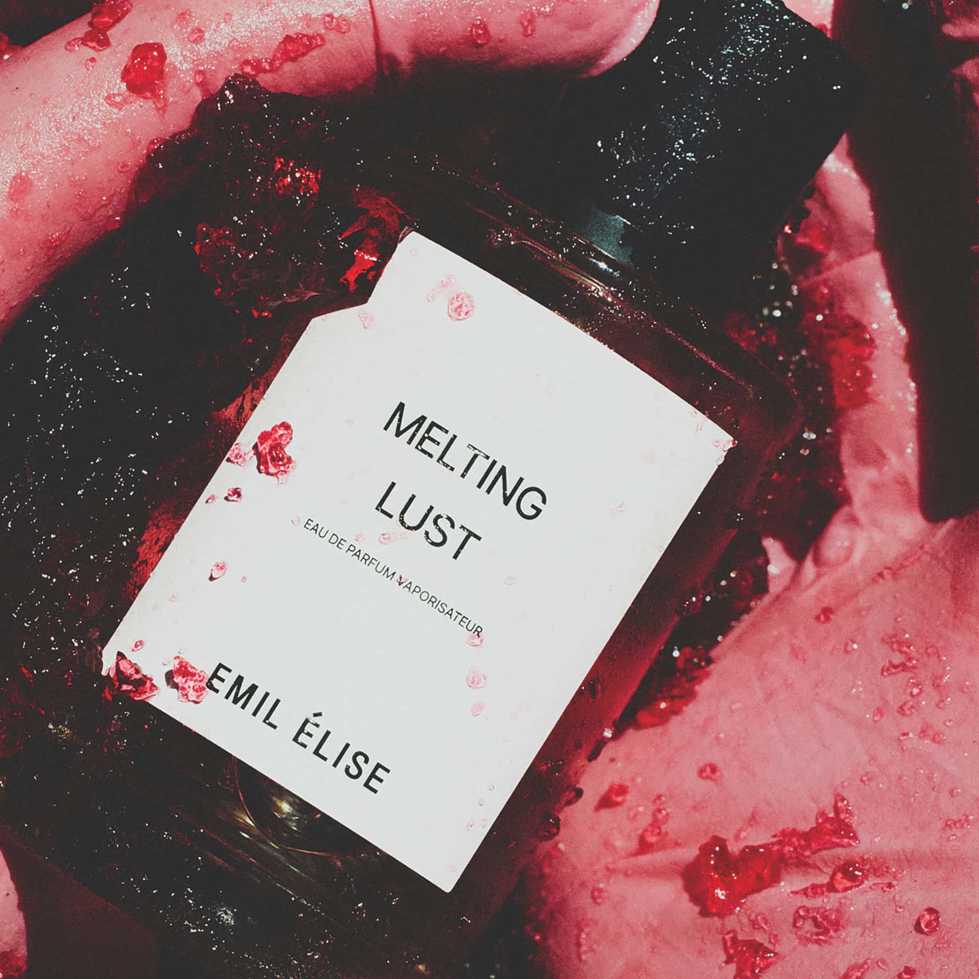 Melting Lust